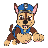 Animation Image