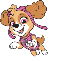 Animation Image
